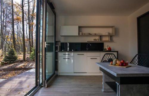 Odpoczynek Domki Pod Dębem z Opcją Jacuzzi - Foto 20