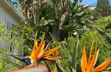 Petite Villa Eze Bord de Mer - Foto 10