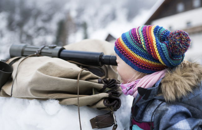 Superior # 5D mit Sauna - Foto 23