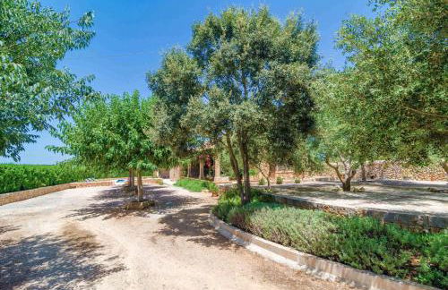 Aubadallet in Vilafranca de Bonany - Foto 60