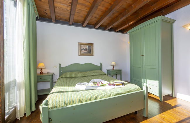 Mimosa in Hilly Area - Foto 9