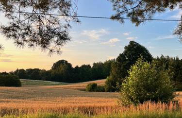 Przystanek Prawdowo - Foto 26