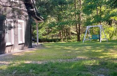 Czarny Dzięcioł - Foto 14