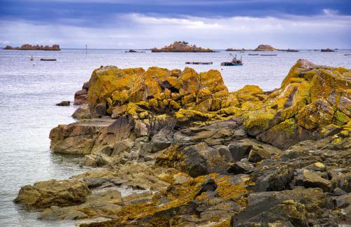 Gîte Paimpol Le Loarwenn - Foto 62