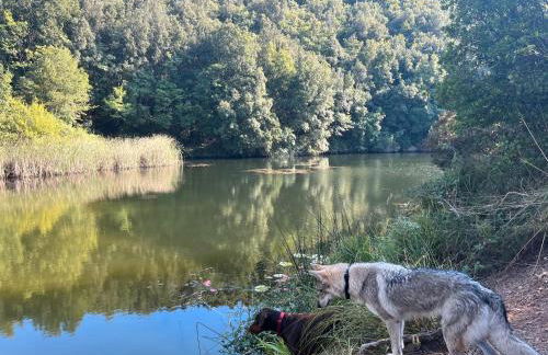 Antiche Dimore Del Vescovado - Foto 20