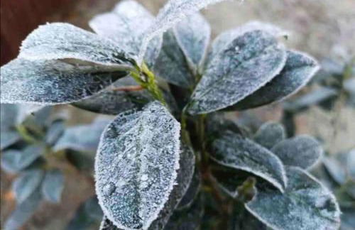 FEWO PARTNERS Haus Clemens - Gemütliches Holzhaus mit Grundstück nahe Badesee - Photo 27