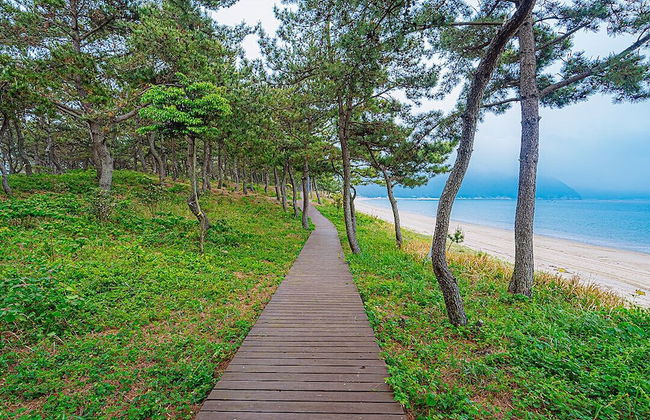 Wando Sol Beach Pension - Foto 44