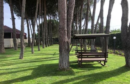 Villa Laoconte piscina, jacuzzi e biliardo - Foto 5