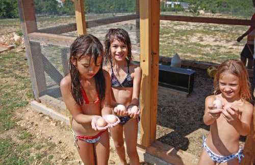 Maslina in Popovići (Haus für 5-7 Personen) - Photo 53