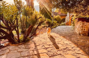 Ferienwohnung Fortuna del Lupo mit Pool und Aussicht - Foto 21