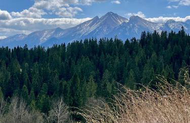 DZIUPLA - Tatra Rustic Log Cabin - Foto 28