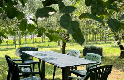 Corte Lavarini The Magic At Sight - Foto 46