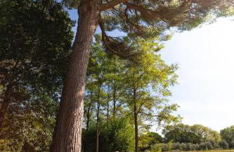 Cottage Il Gabbro - Foto 11