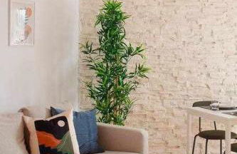 Coto Salinas By Silastur - Foto 9