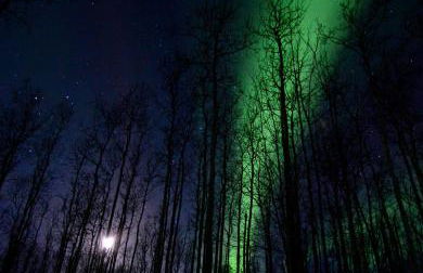 Wildmoon Home - Foto 24