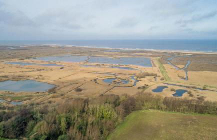 May Cottage & In Focus - Foto 63