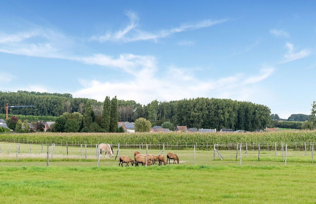 Charming Nieuwpoort Mill Retreat - Foto 40