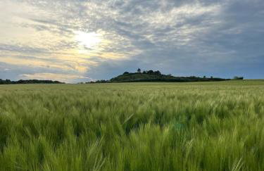 Quiet and green estate - Foto 10