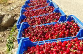 Casa Rural Mirador del Valle - Foto 44