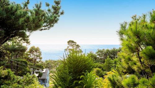 Shangri-lala - Foto 2