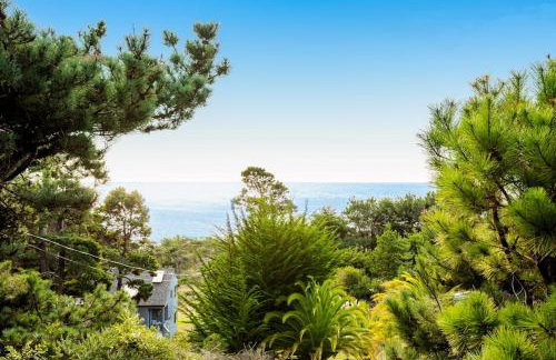 Shangri-lala - Photo 2