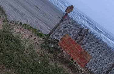 Casinha beira praia Gaivota ,há 2 minutos da praia - Foto 19