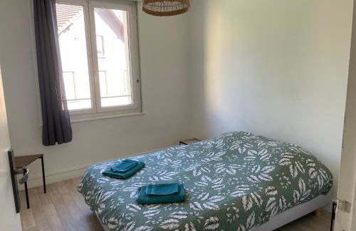 Le Dugois Belfort Centre avec Terrasse - Proche Gare - Foto 36