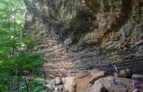 Family-Friendly 3BR Home w Bunk Room & Yard - Photo 57