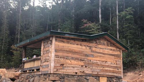 Tree top View 15 - Foto 2