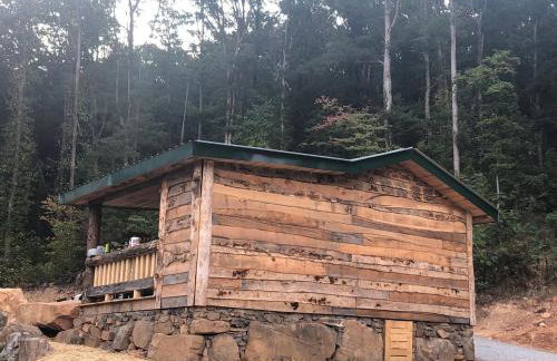 Tree top View 15 - Foto 2