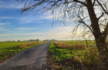Ferienhaus Dörpblick - Foto 42