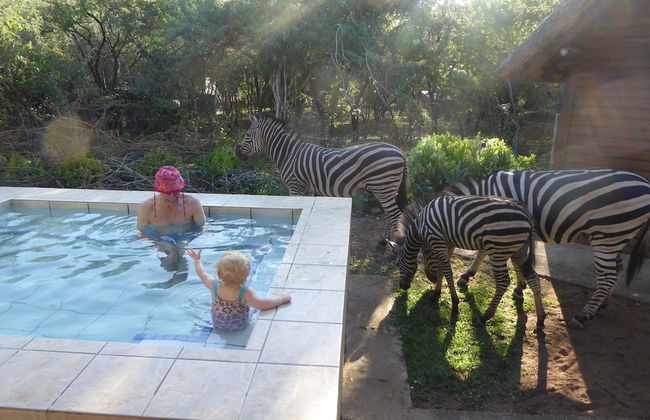 Kruger Cottage - Foto 1