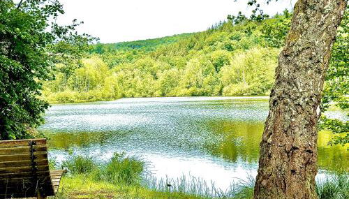 SeeHausLuwiRoyal - Foto 3