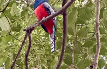 Casa para relaxar em Chapada dos Guimarães - Foto 23