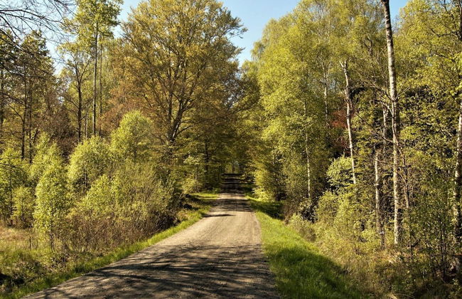 5 Person Holiday Home in Aseda - Foto 18