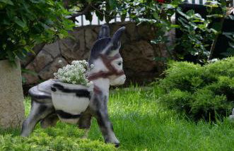 Apartmani Jolic - Foto 9