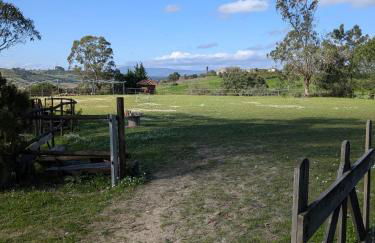 Herdade da Hera - Foto 59