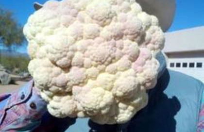 Rio Rancho Verde Two Bedroom Suite - Foto 49