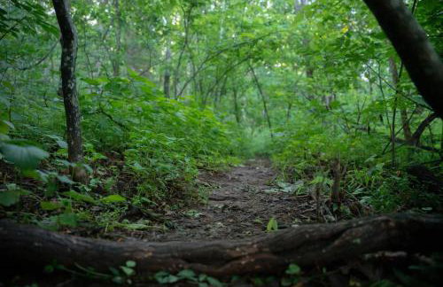 Lookout Cabin - Foto 7