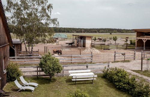 Südhof Döbbrick - Ferienhof für Familienurlaub - Foto 20