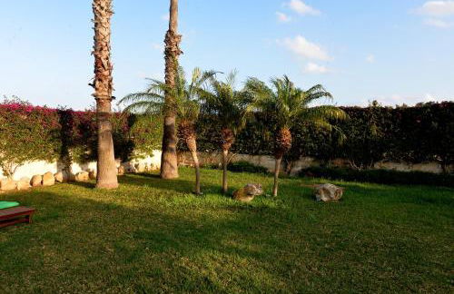 Brezza di mare - Foto 9