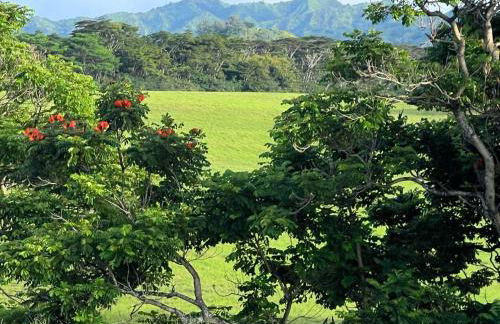 Kapaa Sands 10 - Foto 45
