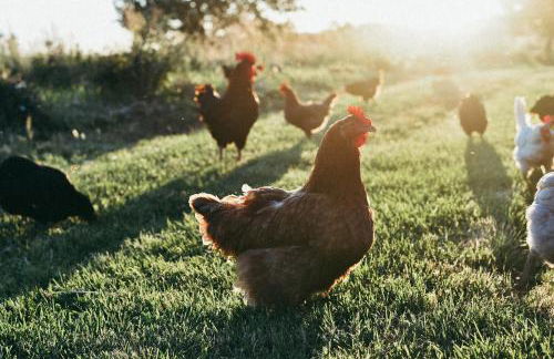 Agriturismo Vallerana - Foto 10