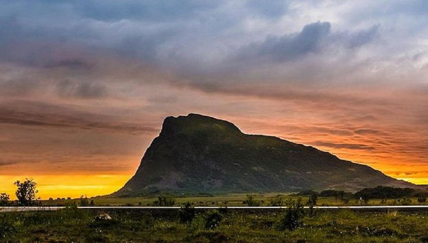 Sommerliche Lofoten-Highlights-Fototour - Ganztägige Kleingruppentour - Foto 4