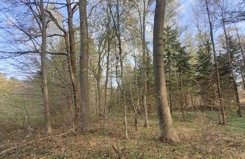 Marcinowa Zagroda - Foto 29