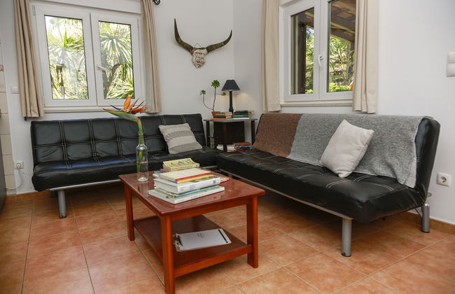 Quinta Camarena - Foto 58