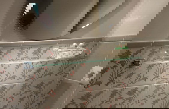 Domus Flaviae - Foto 30