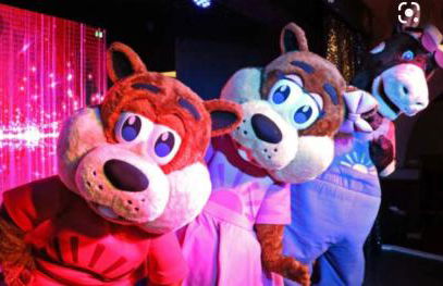 Jungle lodge - Photo 43