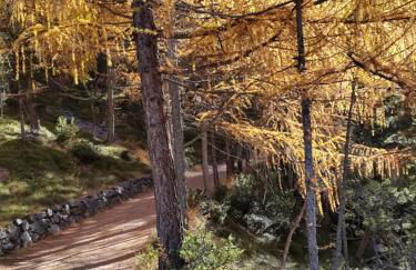 Casa Reit - Photo 60