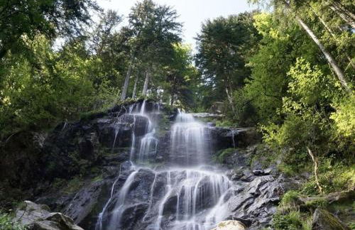 Holiday apartment in St Peter with balcony - Foto 31